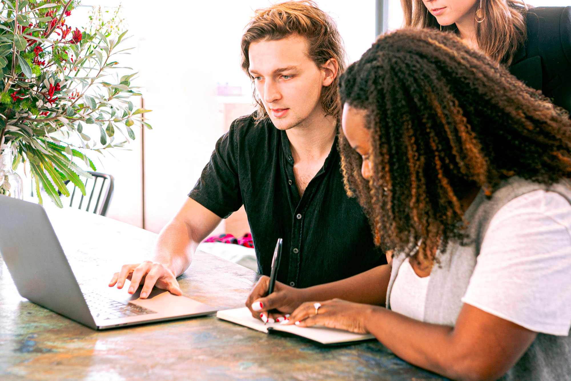 marketing-d-article