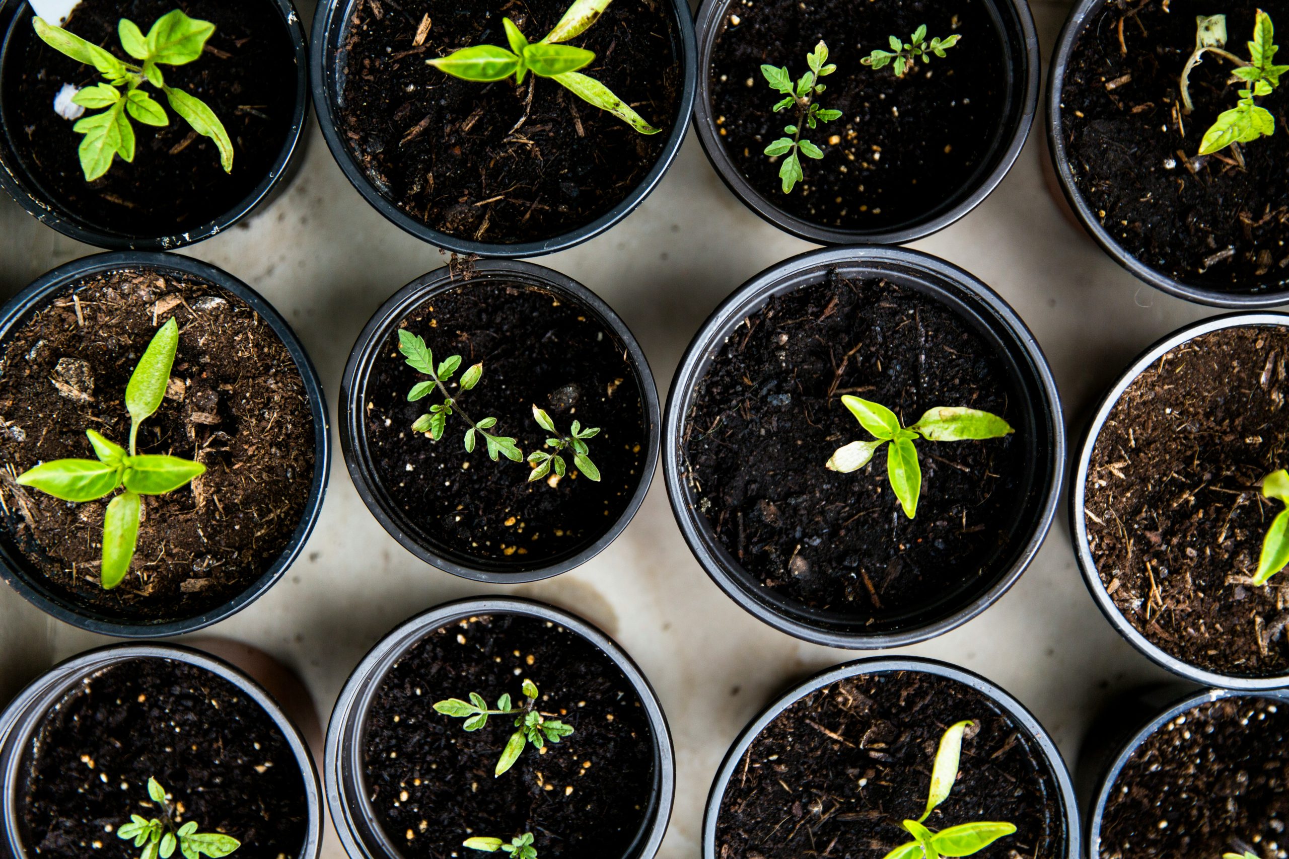 le développement durable vise à répondre aux besoins du présent sans compromettre la capacité des générations futures à satisfaire les leurs. découvrez les enjeux du développement durable et ses impacts positifs sur l'environnement, la société et l'économie.