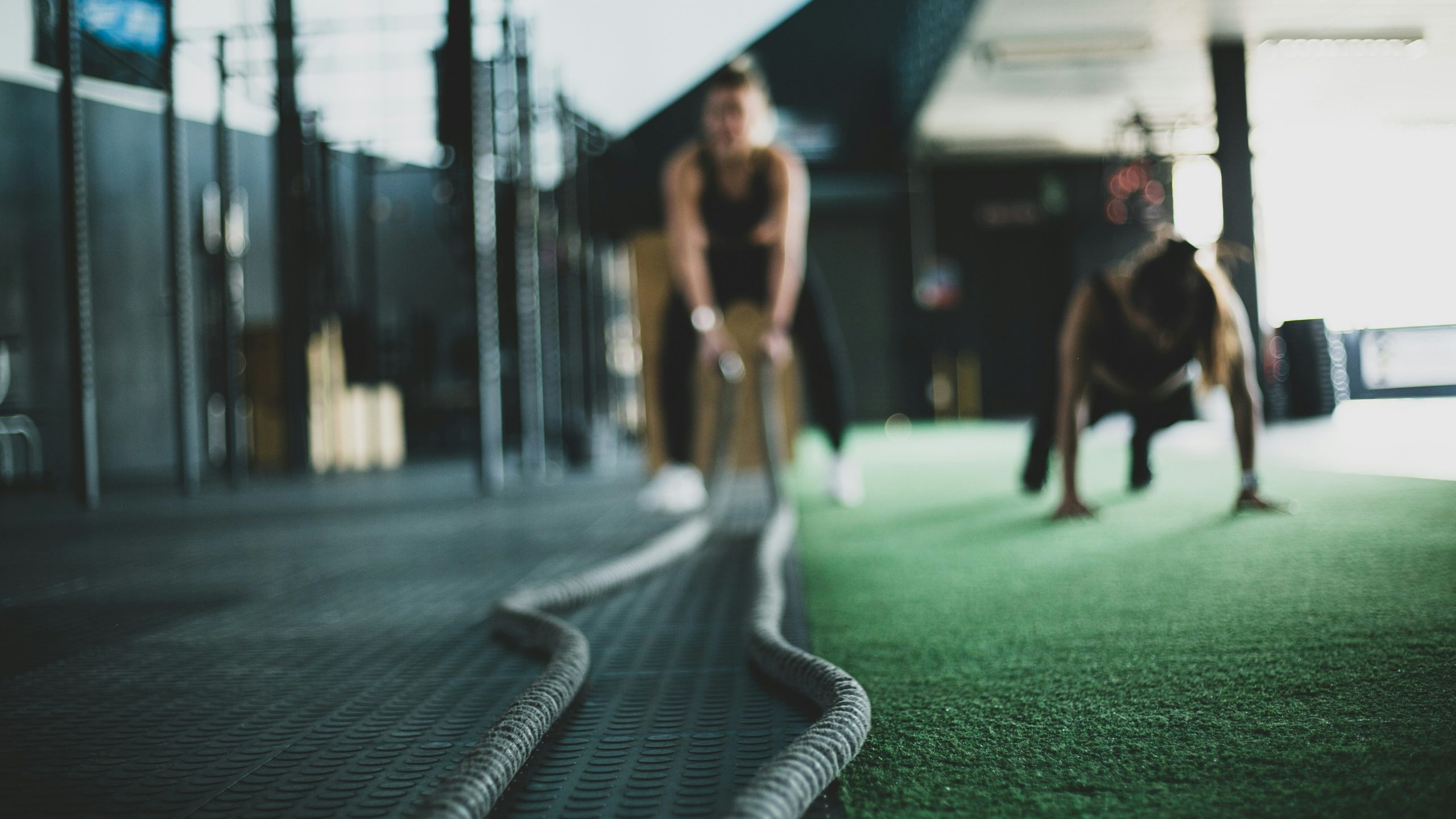 découvrez tout sur l'agility, un sport canin passionnant qui met en avant la complicité entre le maître et son chien, la vitesse, l'agilité et la stratégie.